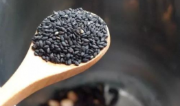 芝麻豆子,探寻古老智慧的新篇章