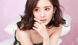 娱乐圈吃瓜猛料杨幂小说,揭秘明星背后的秘密与真相