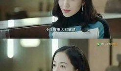 娱乐圈吃瓜趣事小说,瓜田里的甜蜜陷阱